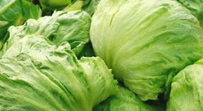 Product-Lettuce