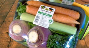 Product-Soup-Vegetables